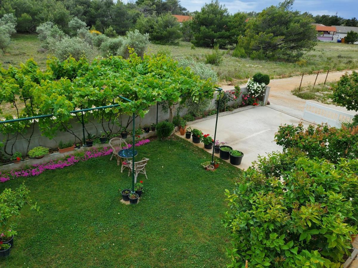 Apartmani Zarko Vir Dış mekan fotoğraf