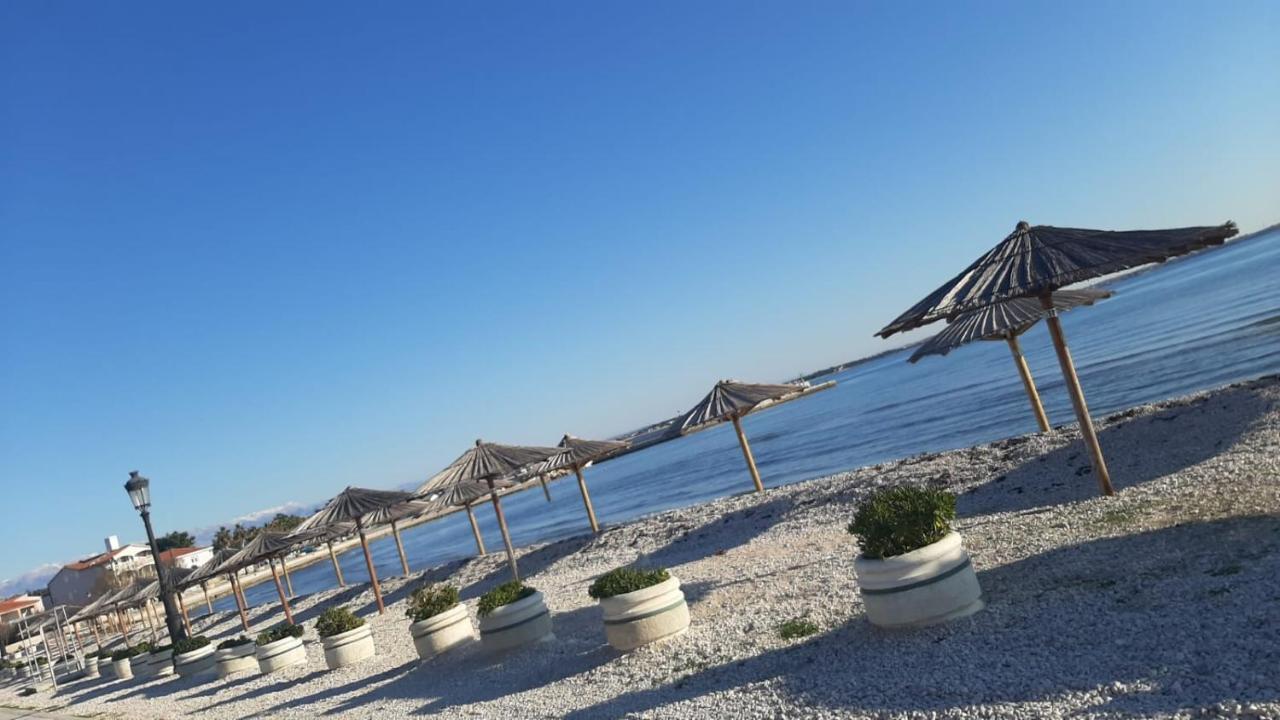 Apartmani Zarko Vir Dış mekan fotoğraf